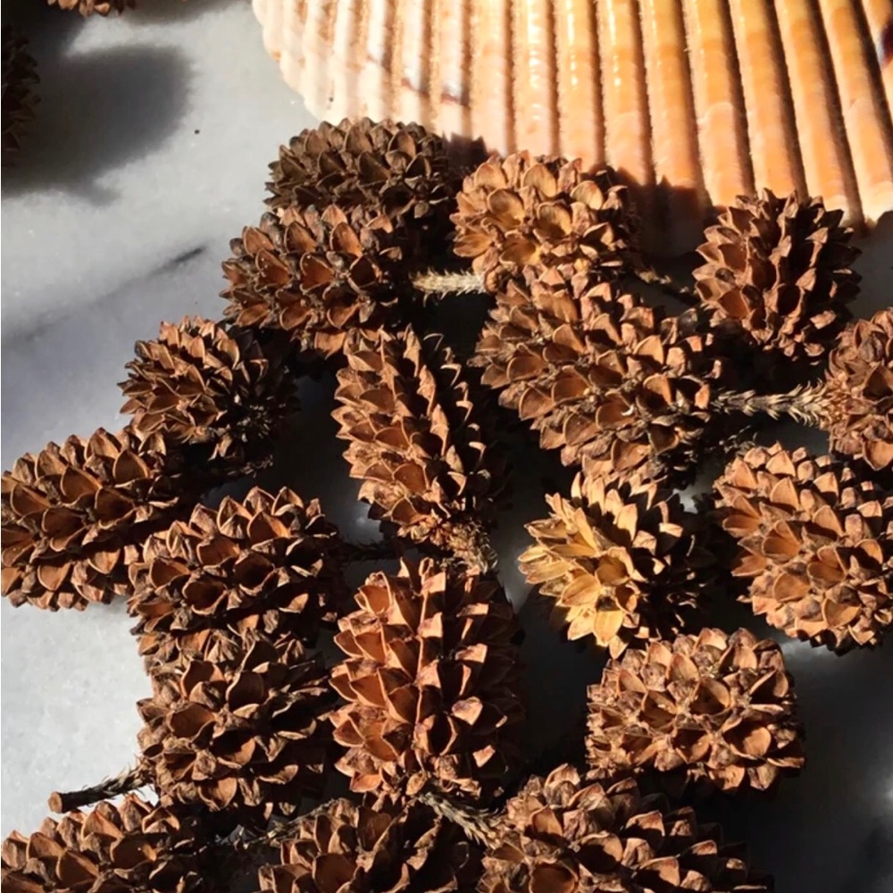40 Decorative Brown Pine Cones 1”